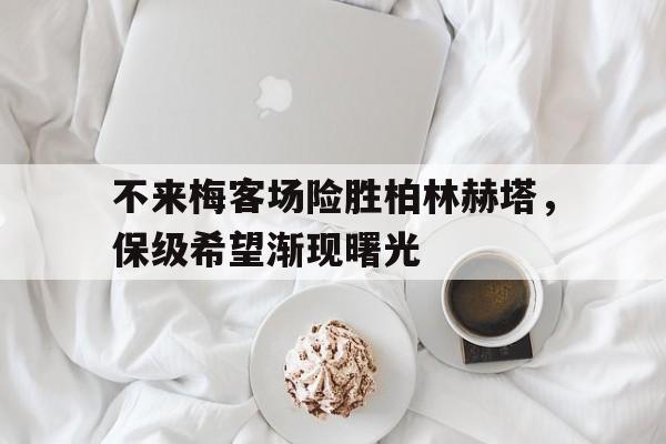 不来梅客场险胜柏林赫塔，保级希望渐现曙光的简单介绍